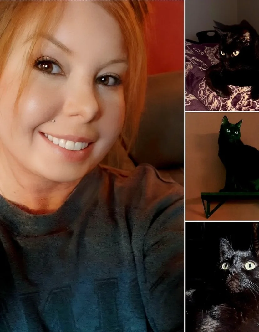 A collage of Corey and three black cats